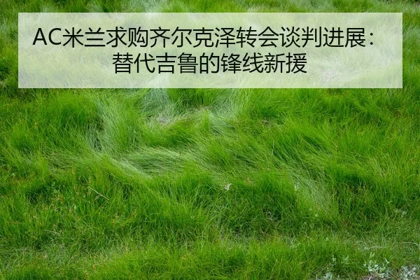 mi-lan-qiu-gou-qi-er-ke-ze-zhuan-hui-tan-pan-jin-zhan-ti-dai-ji-lu-de-feng-xian-xin-yuan-1-988.jpg